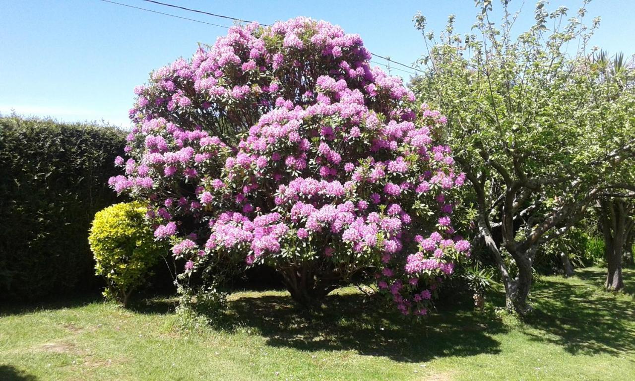 Soto de Luiña Apartamentos El Otero De Cudillero חדר תמונה