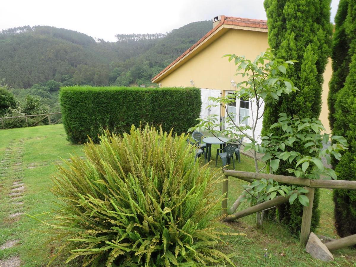 Soto de Luiña Apartamentos El Otero De Cudillero חדר תמונה